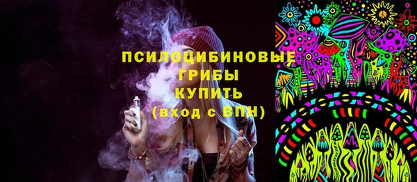 соль ск Осташков