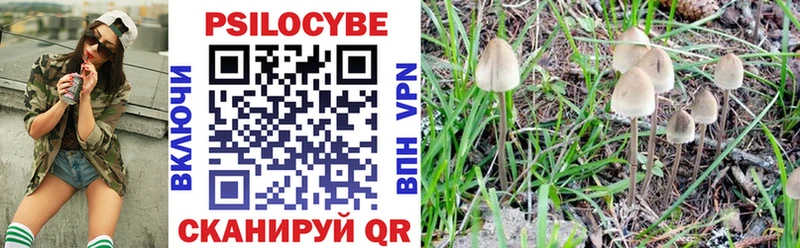 omg маркетплейс  Рассказово  Псилоцибиновые грибы Cubensis 