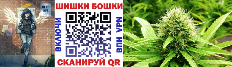 как найти наркотики  Рассказово  Бошки марихуана индика 